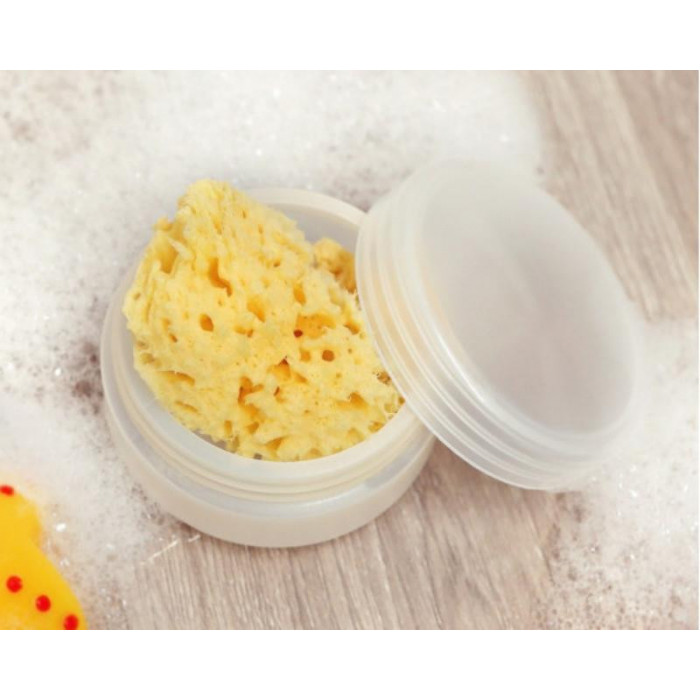 ESPONJA NATURAL CON ESTUCHE KIO