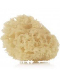 2 ESPONJA NATURAL JANE