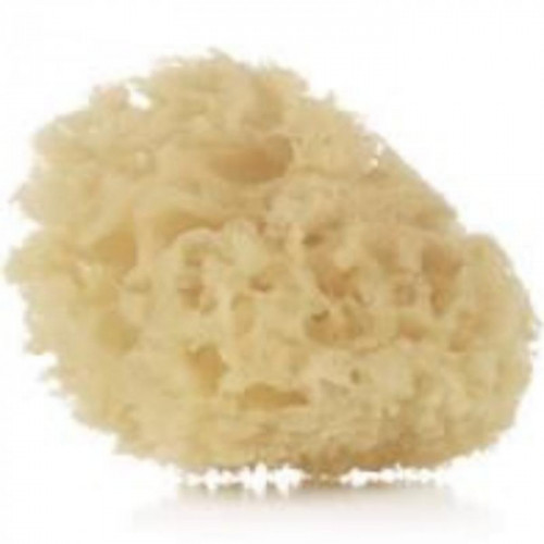 2 ESPONJA NATURAL JANE