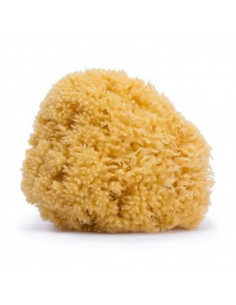 ESPONJA NATURAL SUAVINEX