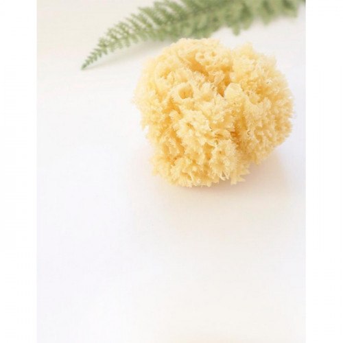 ESPONJA NATURAL PREMIUM SARO