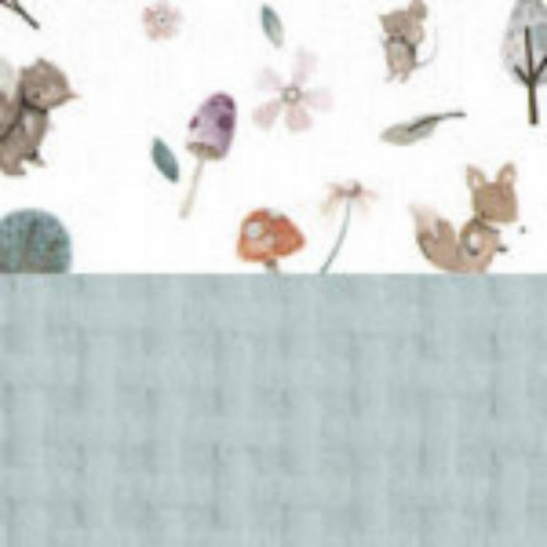 COJIN LACTANCIA ROQUE VERDE...