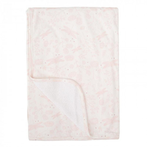 ARRULLO 532 DAFNE ROSA...