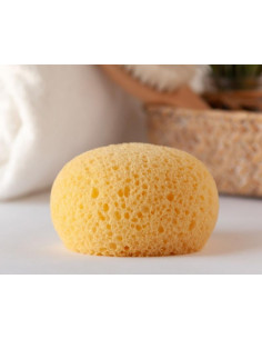 ESPONJA HIDROFILA KIO KIDS