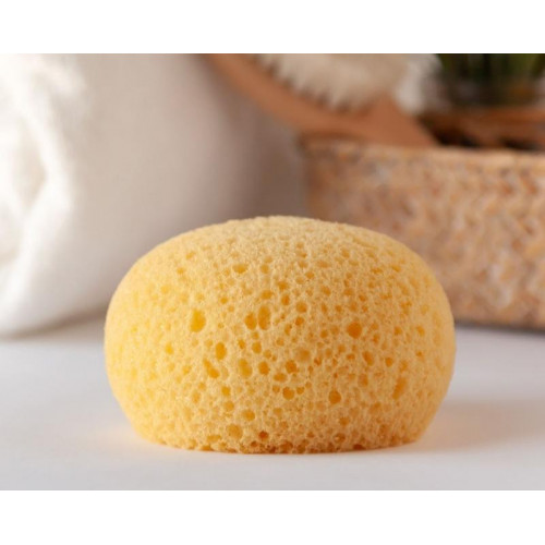 ESPONJA HIDROFILA KIO KIDS