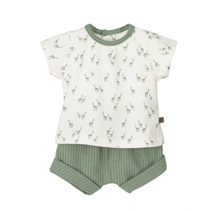 CONJUNTO ALGODON MANGA CORTA PELLITRE...