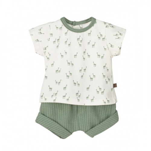 CONJUNTO ALGODON MANGA...