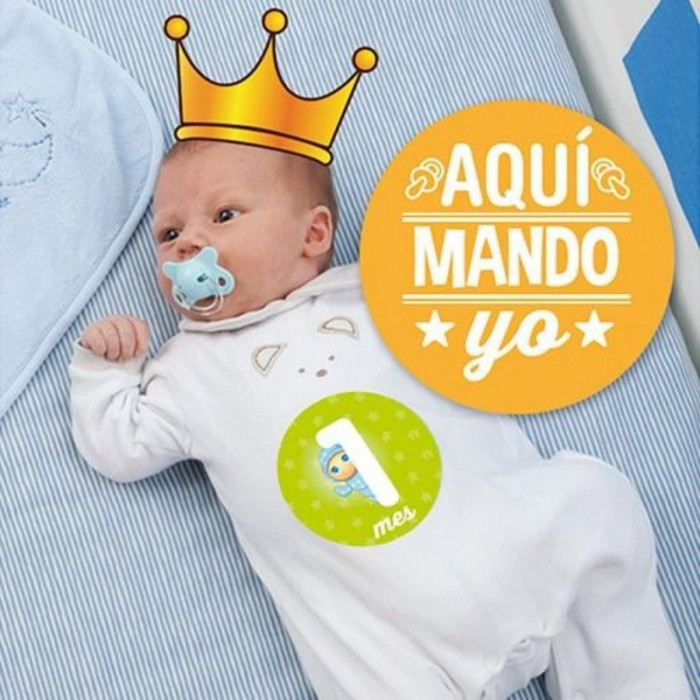 FICHAS DE LOS 12 MESES MAGIC PIC BABY