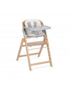TRONA EVOLUTIVA FOREST U90...